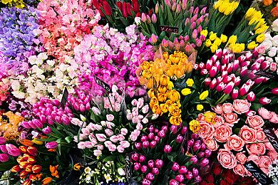 《无限暖暖》今日登陆PS5平台，来奇迹大陆体验开放世界的沉浸冒险