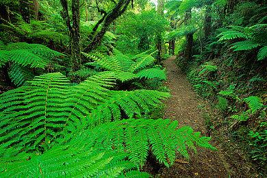 《极限竞速》新作截图泄露 爆料显示已进入beta阶段